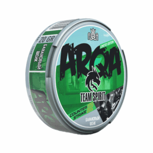 ARQA CS:GO | Team Spirit - Nicpack