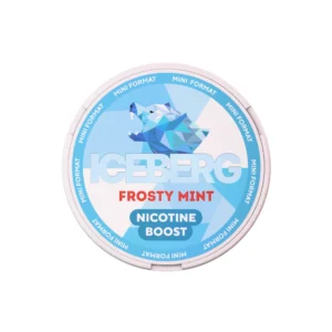 ICEBERG Mini 75 | Frosty Mint - Nicpack